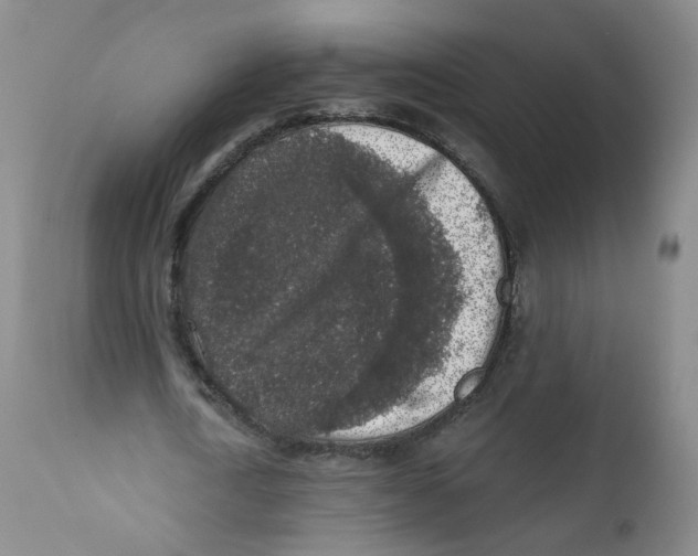 X0000112360722200909101255