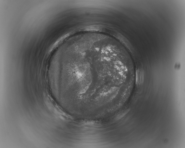 X0000112360723200909101255