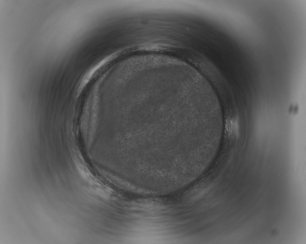 X0000112360724200909101255
