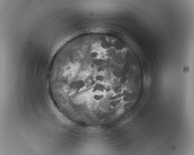 X0000112360725200909101255
