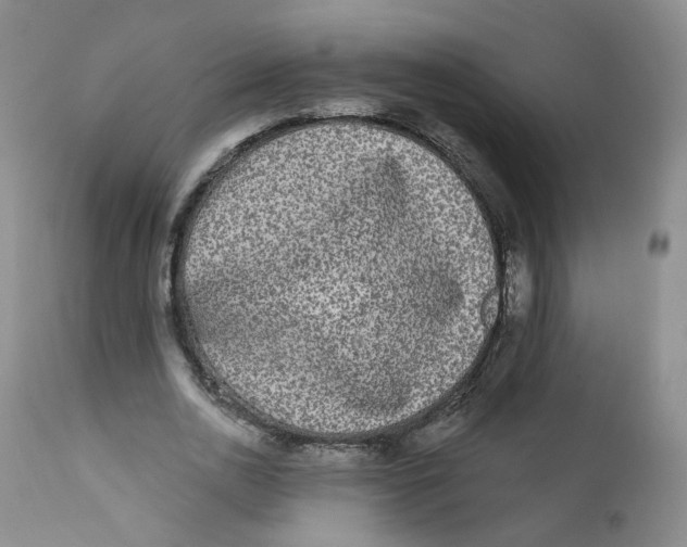 X0000112360726200909101255