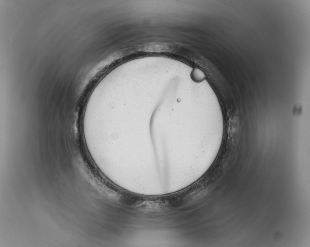 X0000112360727200909101255