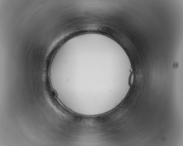 X0000112360728200909101255