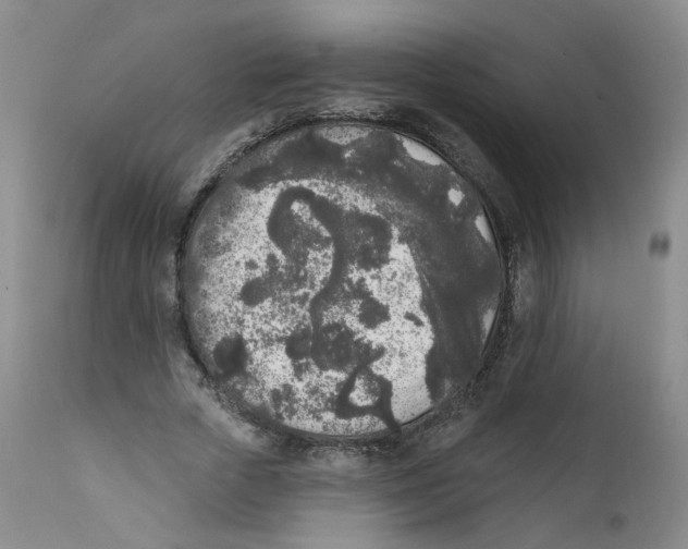X0000112360729200909101255