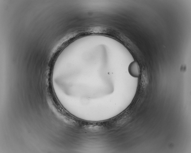 X0000112360730200909101255