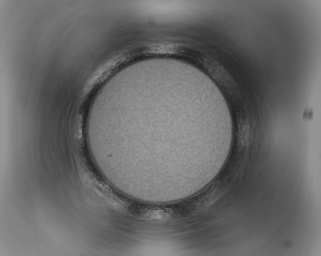 X0000112360731200909101255