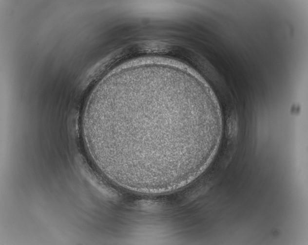 X0000112360733200909101256