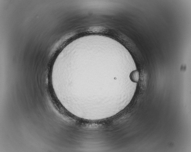 X0000112360734200909101256