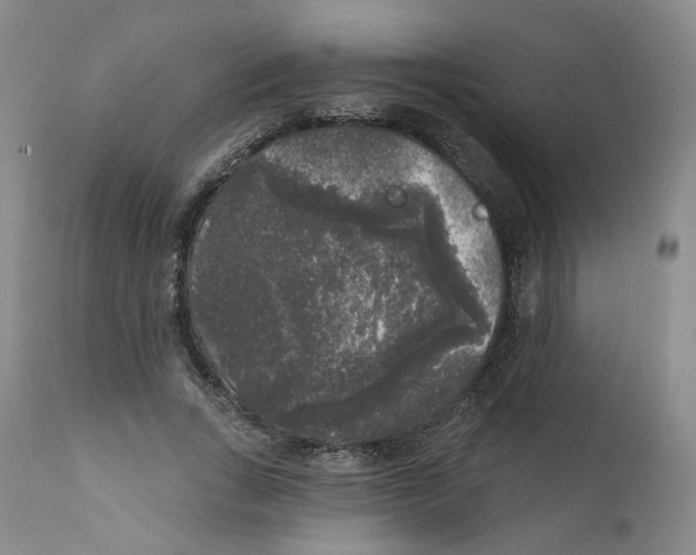 X0000112360735200909101256