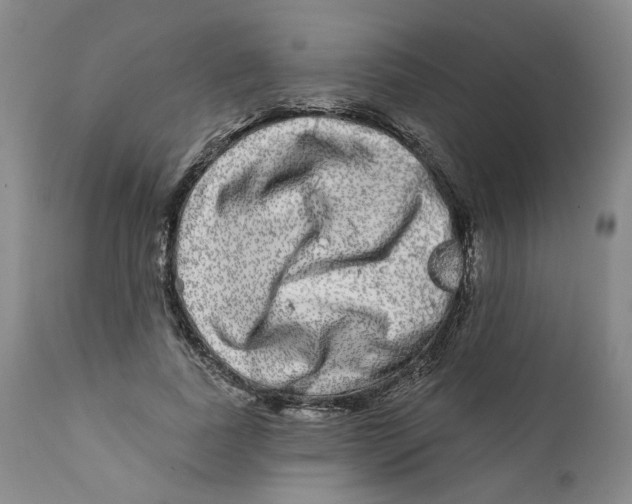 X0000112360739200909101256