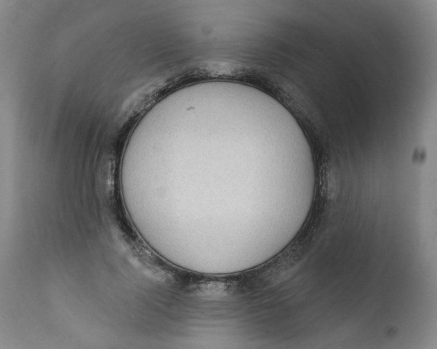X0000112360740200909101256