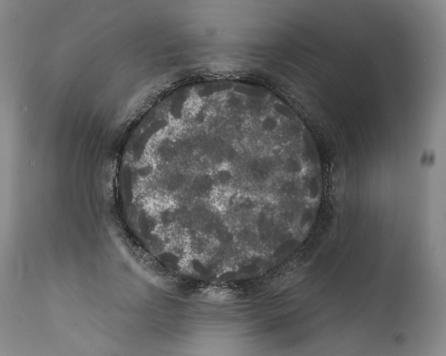 X0000112360742200909101256
