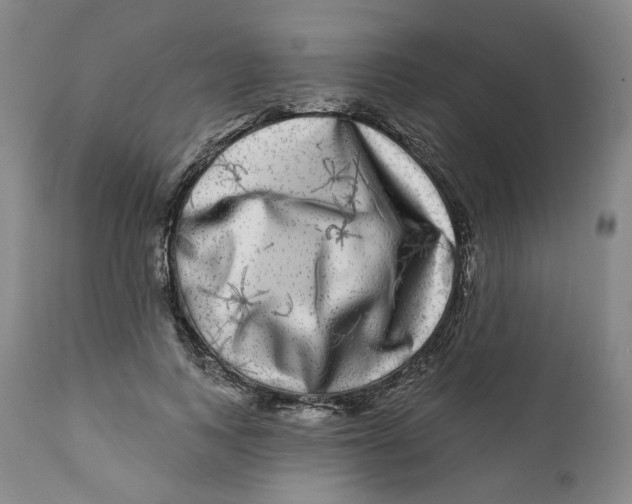 X0000112360743200909101256