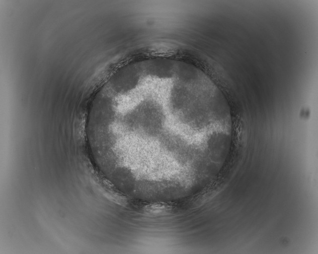 X0000112360745200909101256