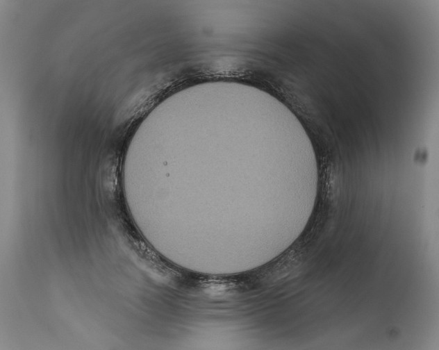 X0000112360746200909101256