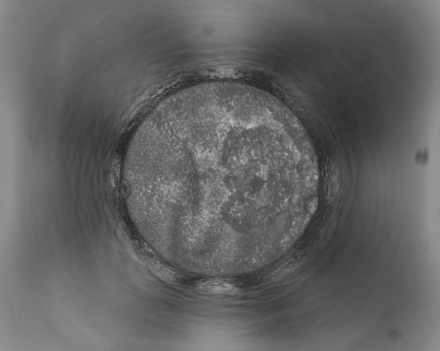 X0000112360747200909101256
