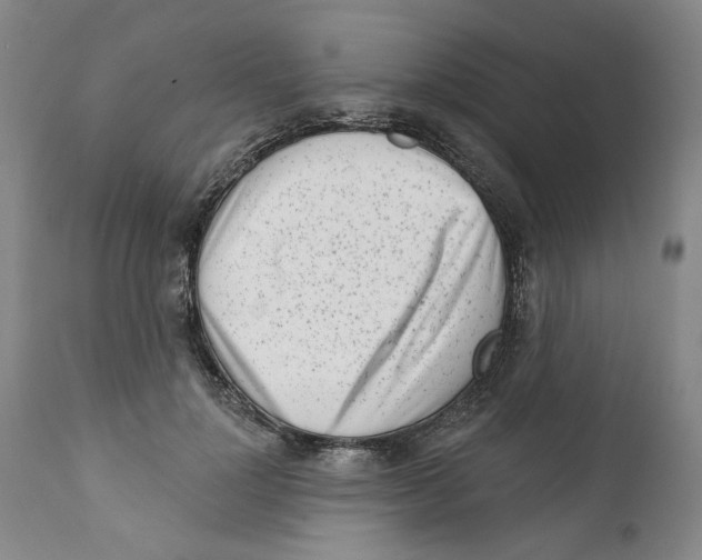 X0000112360748200909101256
