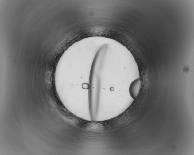 X0000112360750200909101256
