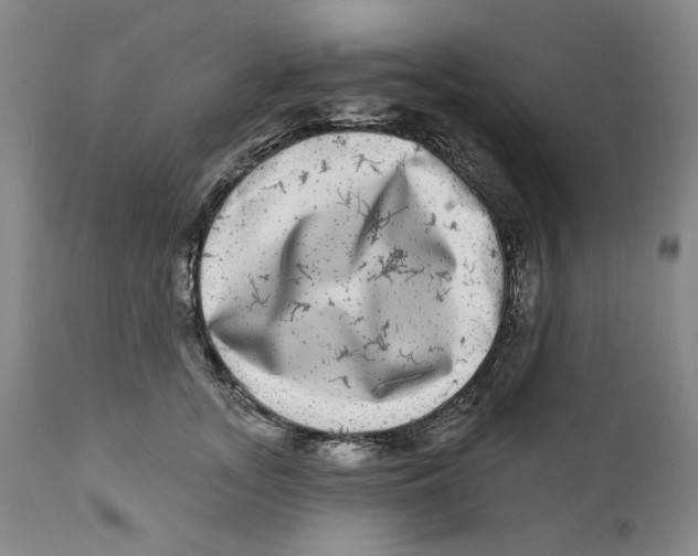 X0000112360755200909101256