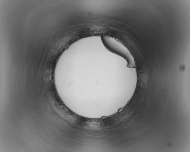X0000112360756200909101256