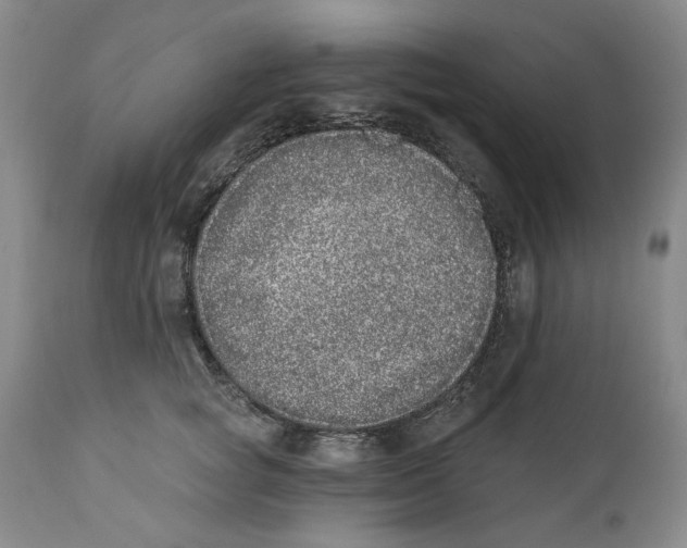 X0000112360757200909101256