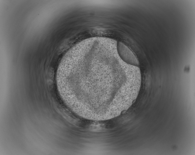 X0000112360760200909101256