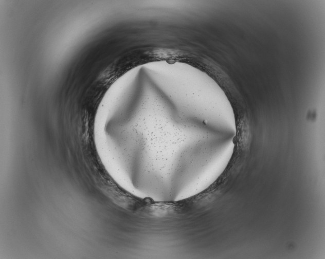 X0000112360762200909101256
