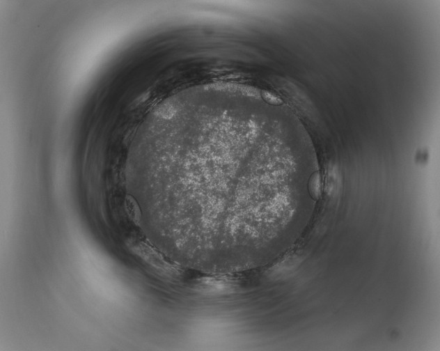 X0000112360763200909101256