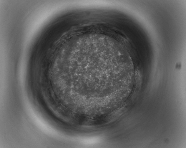 X0000112360765200909101256