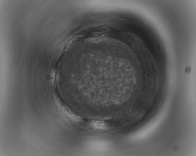 X0000112360767200909101256