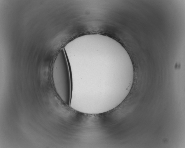 X0000112360768200909101256