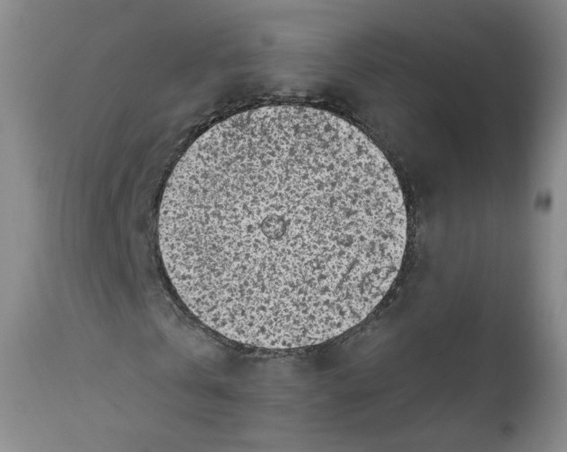 X0000112360769200909101255