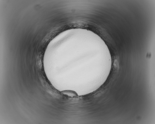 X0000112360771200909101255