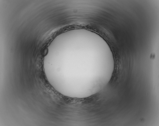 X0000112360773200909101255
