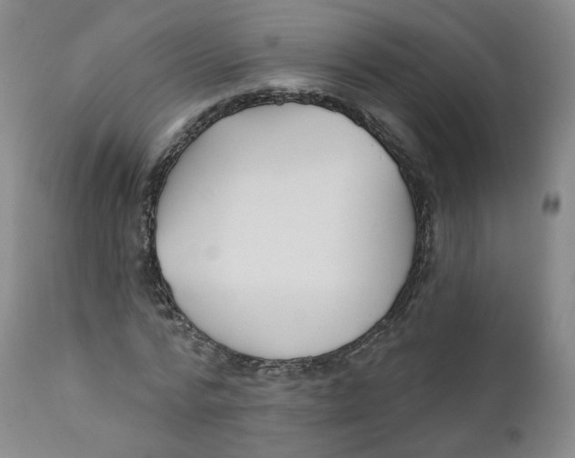 X0000112360776200909101255