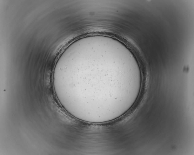 X0000112360777200909101255