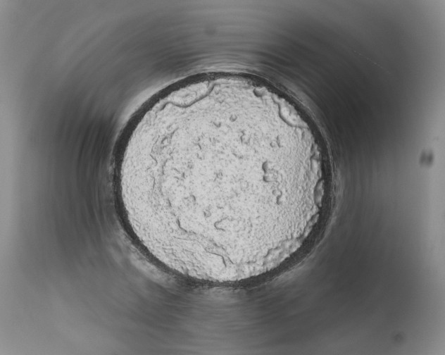X0000112360779200909101255