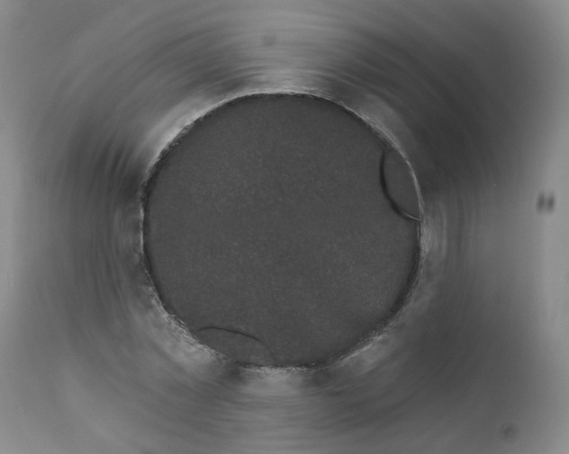 X0000112360781200909101255