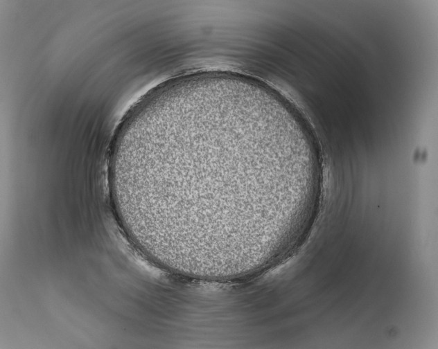 X0000112360782200909101255