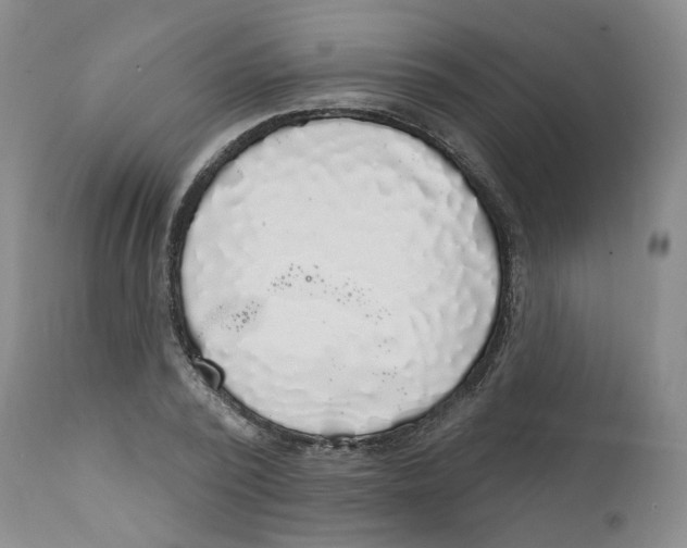X0000112360784200909101255