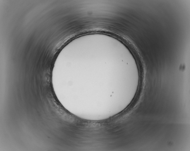 X0000112360785200909101255