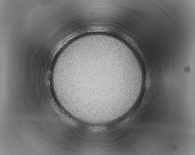 X0000112360786200909101255