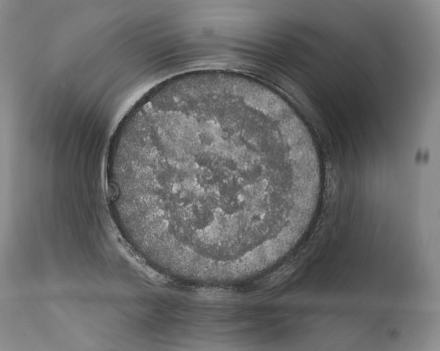 X0000112360788200909101255