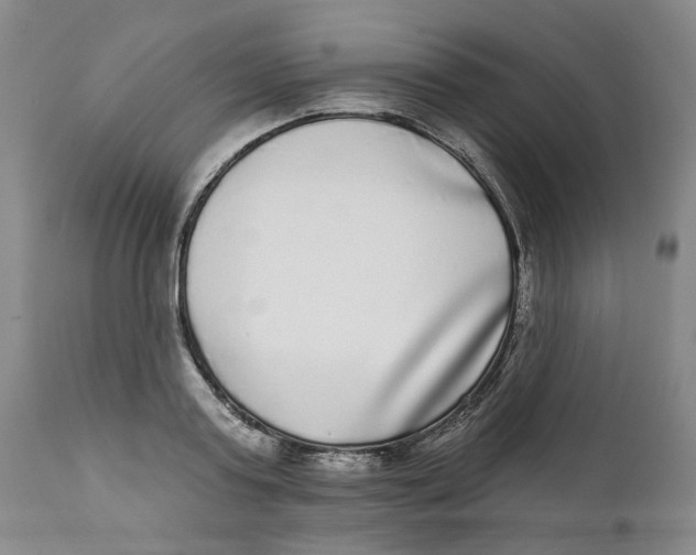 X0000112360795200909101255