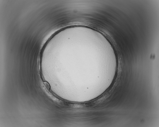 X0000112360796200909101255