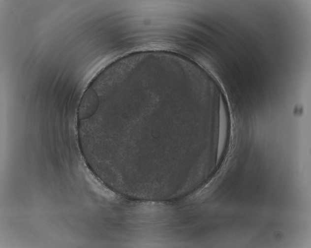 X0000112360797200909101255