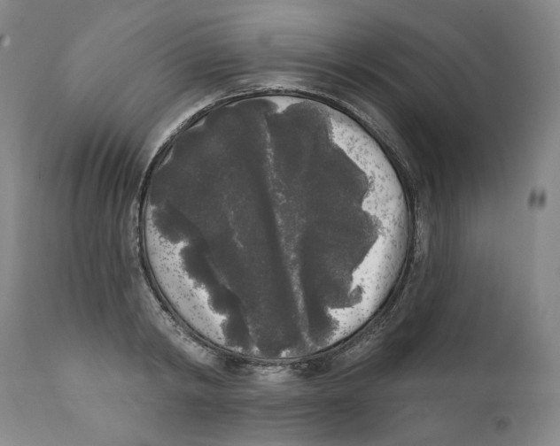 X0000112360798200909101255