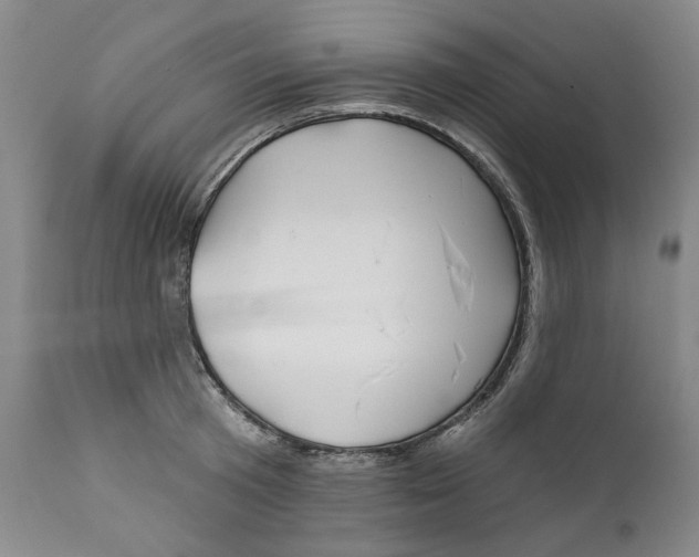 X0000112360801200909101255