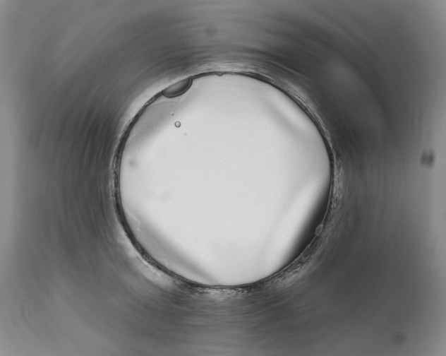 X0000112360803200909101255