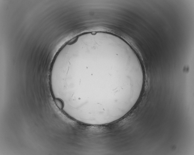 X0000112360805200909101255